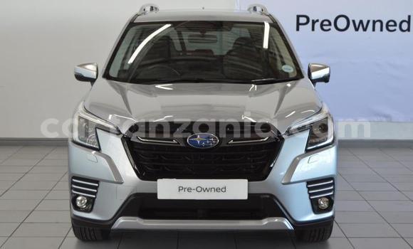 Nunua Ilio tumika Subaru Forester Fedha Gari ndani ya Dodoma nchini Dodoma Nunua Ilio tumika Subaru Forester Fedha Gari ndani ya Dodoma nchini Dodoma