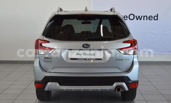 Nunua Ilio tumika Subaru Forester Fedha Gari ndani ya Dodoma nchini Dodoma Nunua Ilio tumika Subaru Forester Fedha Gari ndani ya Dodoma nchini Dodoma