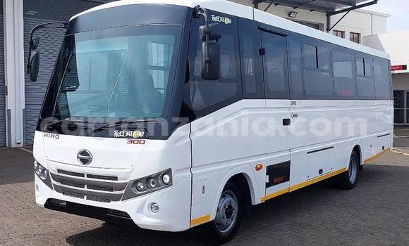 Buy Used Hino 300 Series White Truck in Dodoma in Dodoma