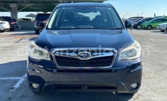 Nunua Imported Subaru Forester Bluu Gari ndani ya Dar es Salaam nchini Dar es Salaam Nunua Imported Subaru Forester Bluu Gari ndani ya Dar es Salaam nchini Dar es Salaam