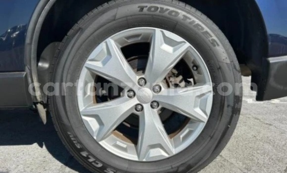 Nunua Imported Subaru Forester Bluu Gari ndani ya Dar es Salaam nchini Dar es Salaam Nunua Imported Subaru Forester Bluu Gari ndani ya Dar es Salaam nchini Dar es Salaam
