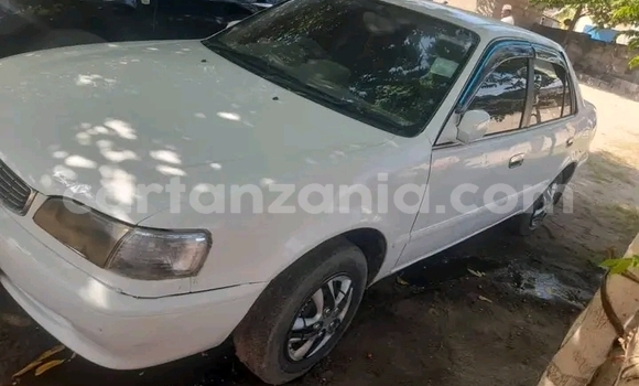 Buy Used Toyota Corolla White Car in Chake Chake in Pemba South Buy Used Toyota Corolla White Car in Chake Chake in Pemba South