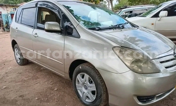 Buy Used Toyota Spacio Other Car in Biharamulo in Kagera Buy Used Toyota Spacio Other Car in Biharamulo in Kagera