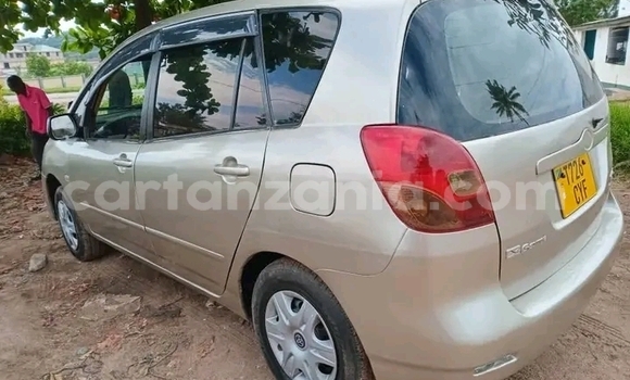 Buy Used Toyota Spacio Other Car in Biharamulo in Kagera Buy Used Toyota Spacio Other Car in Biharamulo in Kagera