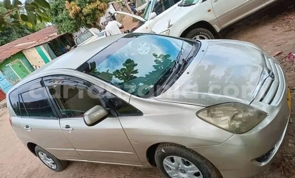 Buy Used Toyota Spacio Other Car in Biharamulo in Kagera Buy Used Toyota Spacio Other Car in Biharamulo in Kagera