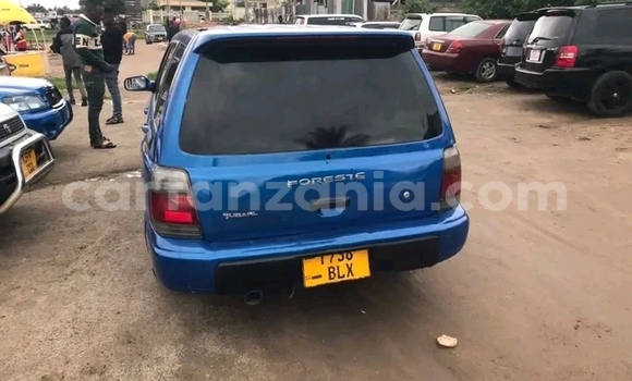 Nunua Ilio tumika Subaru Forester Bluu Gari ndani ya Dar es Salaam nchini Dar es Salaam Nunua Ilio tumika Subaru Forester Bluu Gari ndani ya Dar es Salaam nchini Dar es Salaam