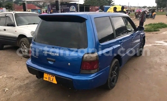 Nunua Ilio tumika Subaru Forester Bluu Gari ndani ya Dar es Salaam nchini Dar es Salaam Nunua Ilio tumika Subaru Forester Bluu Gari ndani ya Dar es Salaam nchini Dar es Salaam