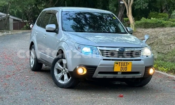 Nunua Ilio tumika Subaru Forester Nyeupe Gari ndani ya Biharamulo nchini Kagera Nunua Ilio tumika Subaru Forester Nyeupe Gari ndani ya Biharamulo nchini Kagera
