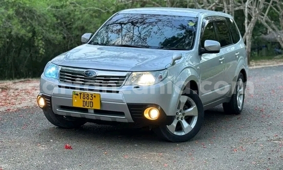 Nunua Ilio tumika Subaru Forester Nyeupe Gari ndani ya Biharamulo nchini Kagera Nunua Ilio tumika Subaru Forester Nyeupe Gari ndani ya Biharamulo nchini Kagera