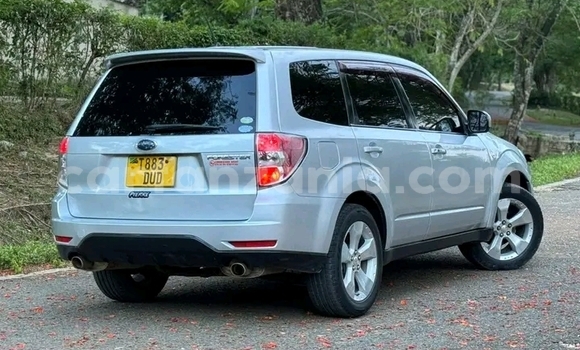 Nunua Ilio tumika Subaru Forester Nyeupe Gari ndani ya Biharamulo nchini Kagera Nunua Ilio tumika Subaru Forester Nyeupe Gari ndani ya Biharamulo nchini Kagera