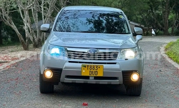 Nunua Ilio tumika Subaru Forester Nyeupe Gari ndani ya Biharamulo nchini Kagera Nunua Ilio tumika Subaru Forester Nyeupe Gari ndani ya Biharamulo nchini Kagera