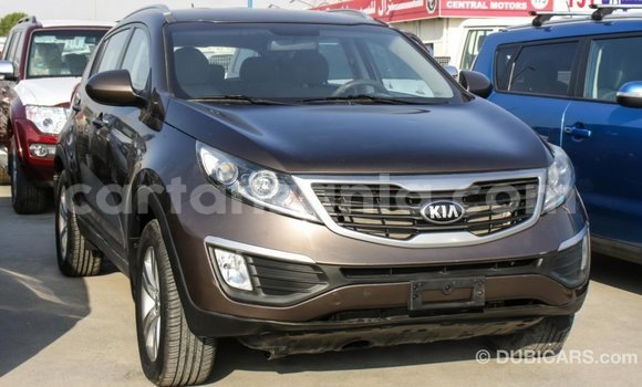 Buy Import Kia Sportage Brown Car in Import - Dubai in Arusha Buy Import Kia Sportage Brown Car in Import - Dubai in Arusha