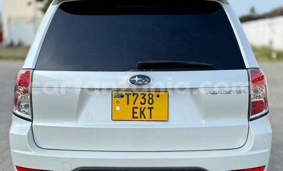 Buy Used Subaru Forester White Car in Dar es Salaam in Dar es Salaam