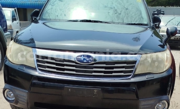 Buy Import Subaru Forester Black Car in Dar es Salaam in Dar es Salaam