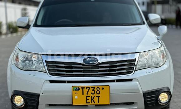 Buy Used Subaru Forester White Car in Dar es Salaam in Dar es Salaam
