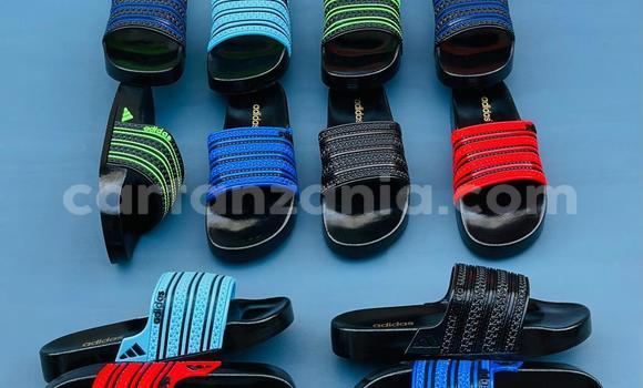 Buy Used Ariel Atom Red Car in Dar es Salaam in Dar es Salaam