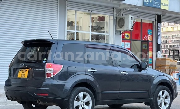 Buy Used Subaru Forester Other Car in Dar es Salaam in Dar es Salaam Buy Used Subaru Forester Other Car in Dar es Salaam in Dar es Salaam