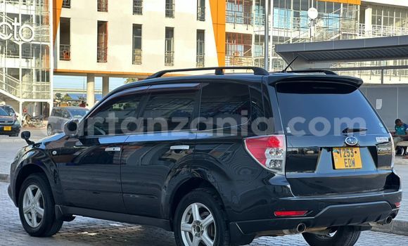 Buy Used Subaru Forester Black Car in Dar es Salaam in Dar es Salaam Buy Used Subaru Forester Black Car in Dar es Salaam in Dar es Salaam
