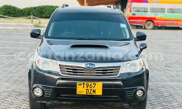 Buy Used Subaru Forester Black Car in Dar es Salaam in Dar es Salaam