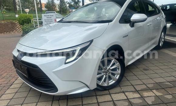 Buy Used Toyota Corolla White Car in Dodoma in Dodoma