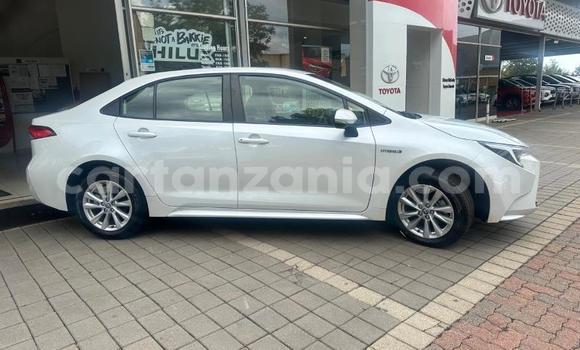 Buy Used Toyota Corolla White Car in Dodoma in Dodoma Buy Used Toyota Corolla White Car in Dodoma in Dodoma