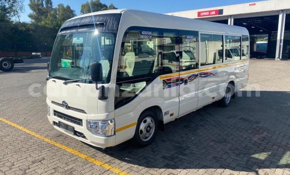 Buy Used Toyota Coaster White Car in Dodoma in Dodoma Buy Used Toyota Coaster White Car in Dodoma in Dodoma