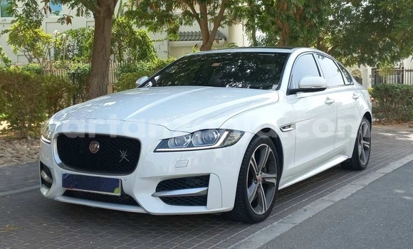 Buy Used Jaguar XF White Car in Dar es Salaam in Dar es Salaam