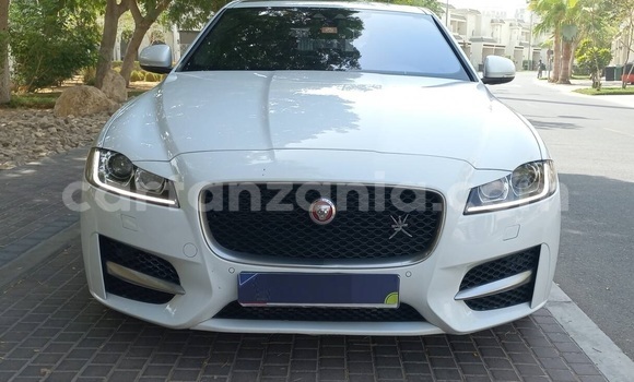 Buy Used Jaguar XF White Car in Dar es Salaam in Dar es Salaam Buy Used Jaguar XF White Car in Dar es Salaam in Dar es Salaam
