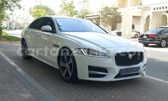 Buy Used Jaguar XF White Car in Dar es Salaam in Dar es Salaam Buy Used Jaguar XF White Car in Dar es Salaam in Dar es Salaam