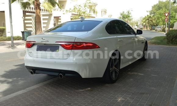 Buy Used Jaguar XF White Car in Dar es Salaam in Dar es Salaam Buy Used Jaguar XF White Car in Dar es Salaam in Dar es Salaam