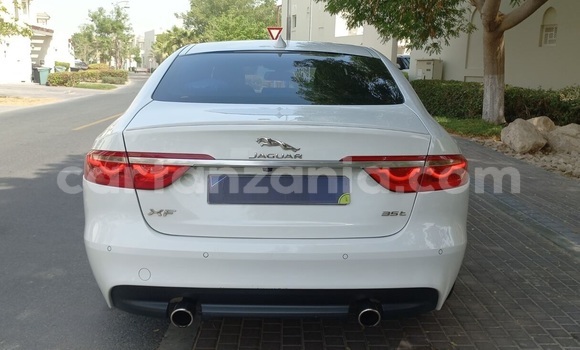 Buy Used Jaguar XF White Car in Dar es Salaam in Dar es Salaam Buy Used Jaguar XF White Car in Dar es Salaam in Dar es Salaam