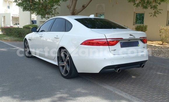 Buy Used Jaguar XF White Car in Dar es Salaam in Dar es Salaam Buy Used Jaguar XF White Car in Dar es Salaam in Dar es Salaam