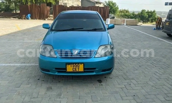 Nunua Ilio tumika Toyota Runx Bluu Gari ndani ya Dar es Salaam nchini Dar es Salaam Nunua Ilio tumika Toyota Runx Bluu Gari ndani ya Dar es Salaam nchini Dar es Salaam