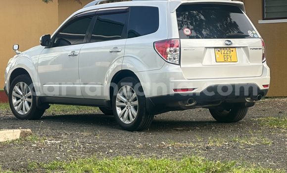 Nunua Ilio tumika Subaru Forester Nyeupe Gari ndani ya Dar es Salaam nchini Dar es Salaam Nunua Ilio tumika Subaru Forester Nyeupe Gari ndani ya Dar es Salaam nchini Dar es Salaam