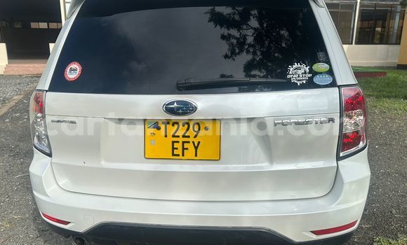 Nunua Ilio tumika Subaru Forester Nyeupe Gari ndani ya Dar es Salaam nchini Dar es Salaam Nunua Ilio tumika Subaru Forester Nyeupe Gari ndani ya Dar es Salaam nchini Dar es Salaam