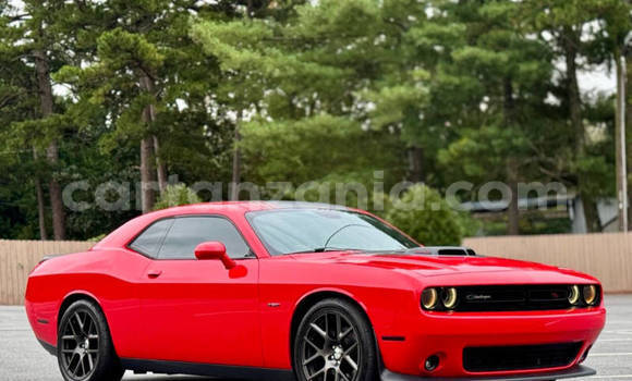 Buy Used Dodge Challenger Red Car in Dar es Salaam in Dar es Salaam Buy Used Dodge Challenger Red Car in Dar es Salaam in Dar es Salaam