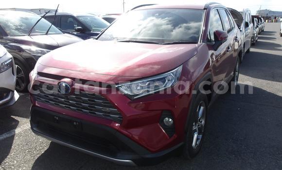 Buy Used Toyota RAV4 Red Car in Dodoma in Dodoma Buy Used Toyota RAV4 Red Car in Dodoma in Dodoma