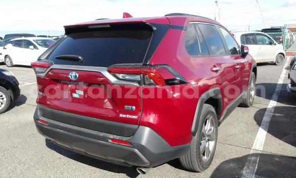 Buy Used Toyota RAV4 Red Car in Dodoma in Dodoma Buy Used Toyota RAV4 Red Car in Dodoma in Dodoma