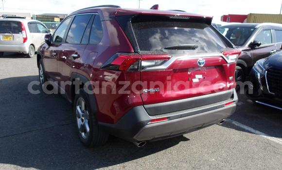 Buy Used Toyota RAV4 Red Car in Dodoma in Dodoma Buy Used Toyota RAV4 Red Car in Dodoma in Dodoma