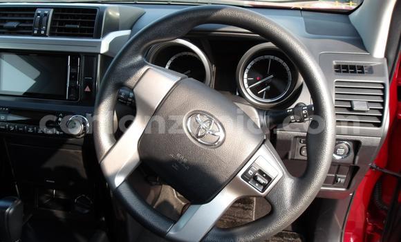 Buy Used Toyota Land Cruiser Prado Red Car in Dodoma in Dodoma Buy Used Toyota Land Cruiser Prado Red Car in Dodoma in Dodoma