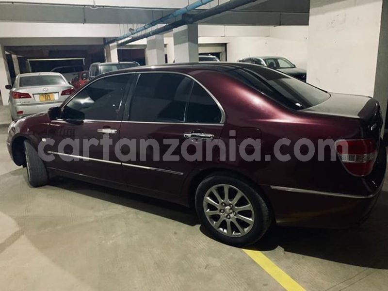 Big with watermark 55857639 192118968426614 2433943234905374720 n