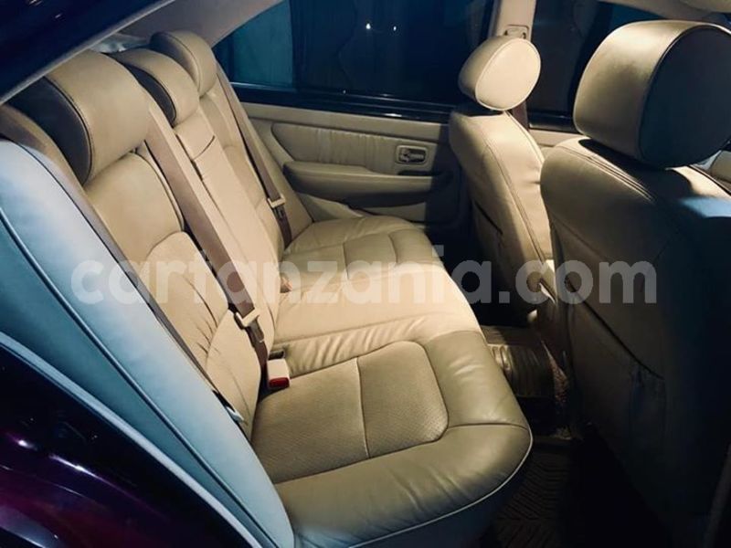 Big with watermark 55939421 192119051759939 3733211863178018816 n