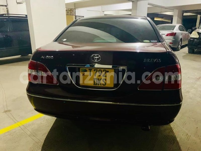 Big with watermark 55576391 192119075093270 6117167163431190528 n