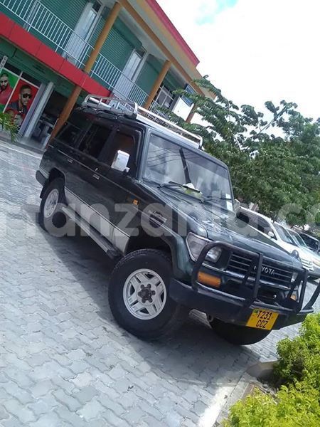 Big with watermark 55523395 192104368428074 3078006918476726272 n