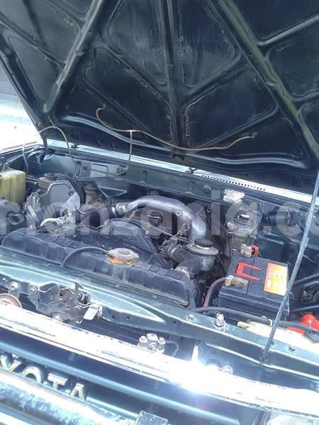 Big with watermark 55510818 192104488428062 5838332449146273792 n