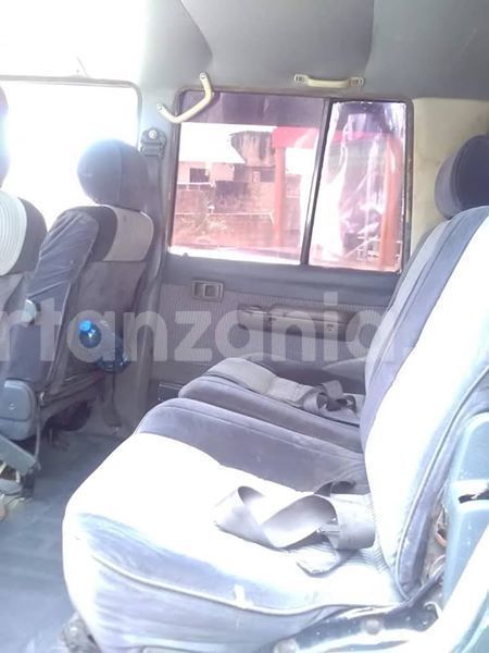 Big with watermark 55576491 192104468428064 1222637542604537856 n