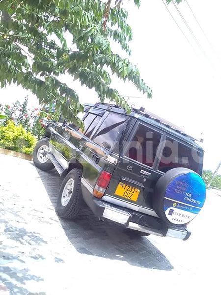 Big with watermark 55455259 192104385094739 1374175379060686848 n