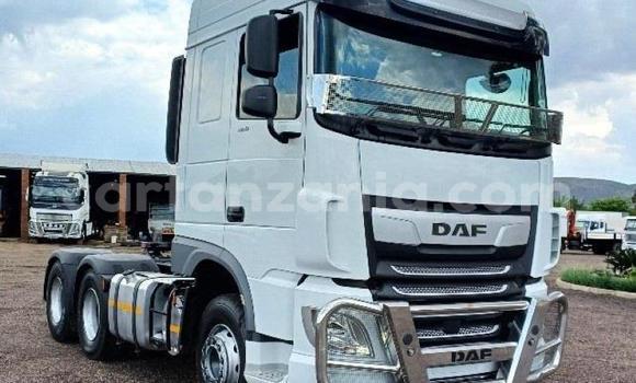 Buy Used DAF CF White Truck in Dodoma in Dodoma