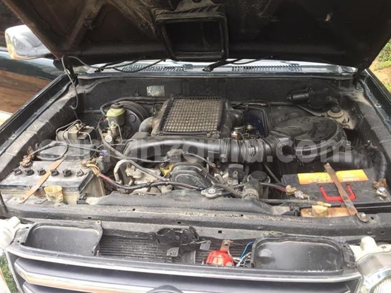 Big with watermark 55551832 190450938593417 6305919207879999488 n