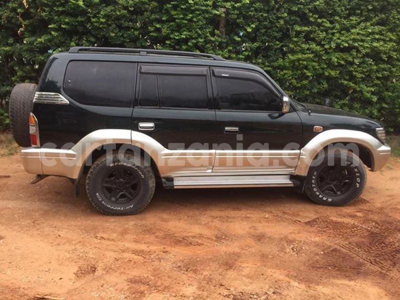 Big with watermark 54516012 190450808593430 843512314006077440 n